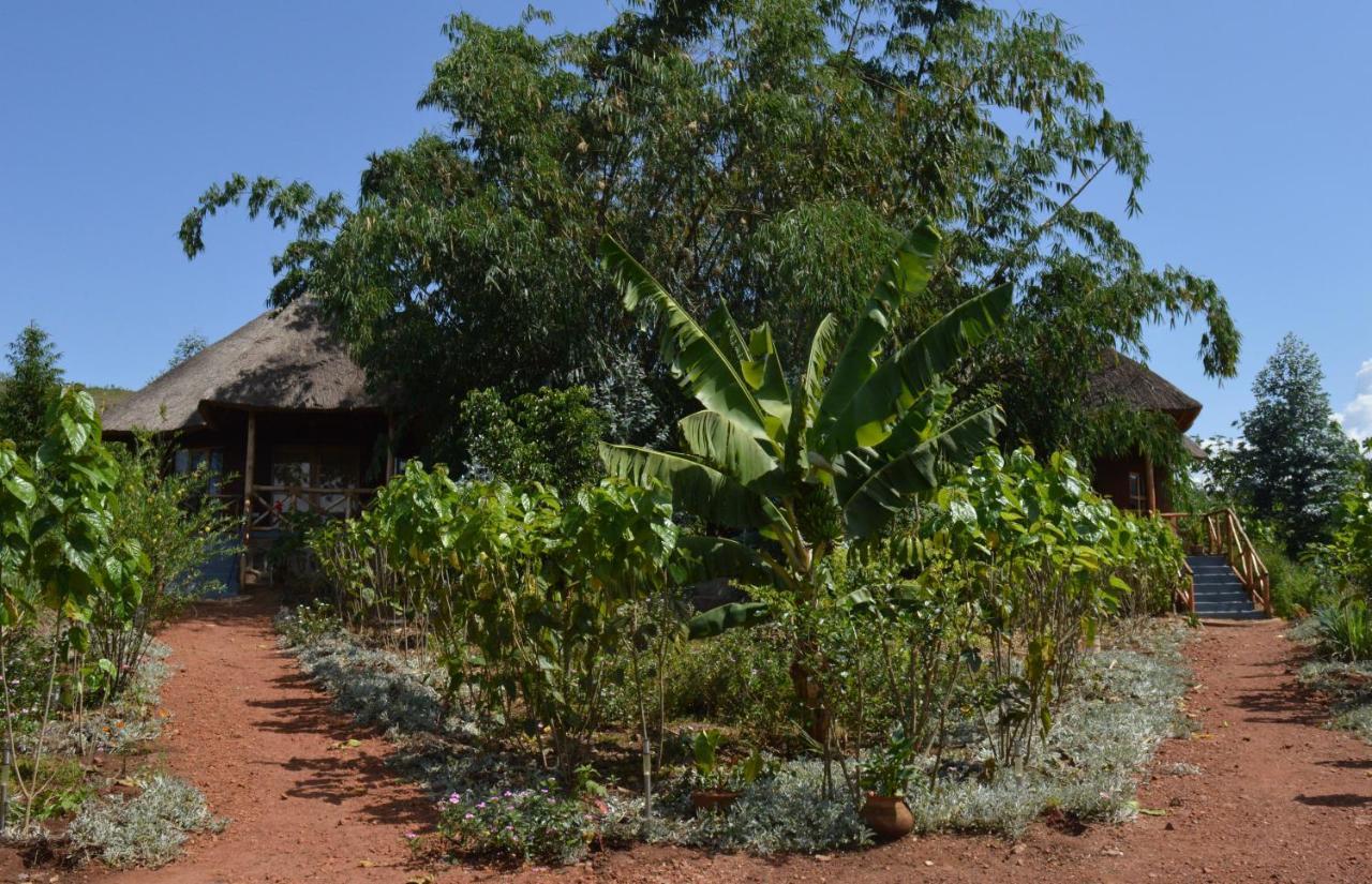 Rutete Eco Lodge Rwinkwavu Екстериор снимка